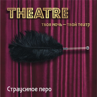 ToyFa Theatre Страусиное перо, черное, С рукояткой