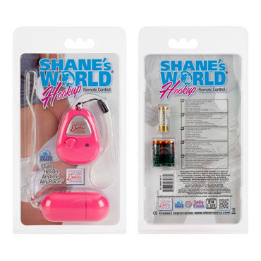 California Exotic Shanes World Hookup, розовый - Виброяйцо с беспроводным пультом управления - купить в секс шопе