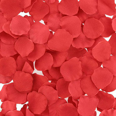 LoversPremium Rose Petals - фото, отзывы