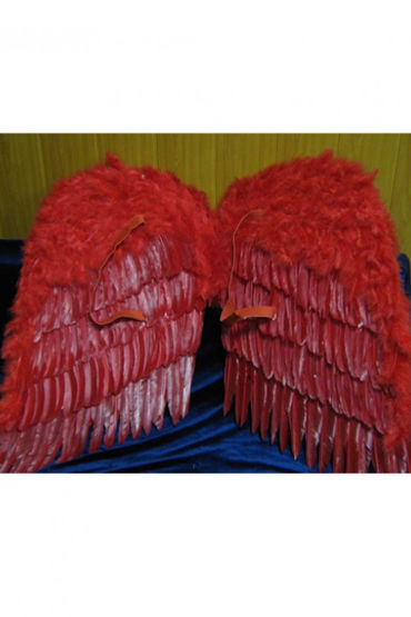 Le Frivole крылья, красные, Большие, 80х80 см