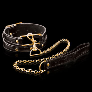 Pipedream Gold Collar&Leash - фото, отзывы