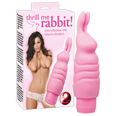 You2Toys Mini Rabbit, Минивибратор в форме кролика