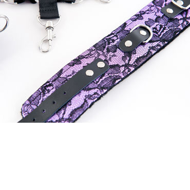 ToyFa Marcus Бондажный комплект, фиолетовый - фото, отзывы