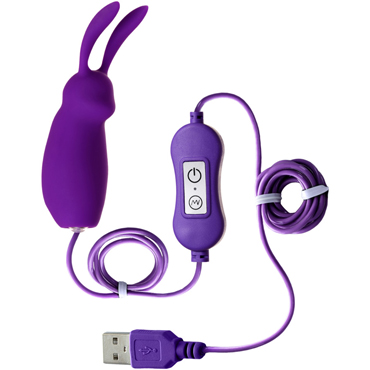 Toyfa A-Toys Bunny, фиолетовое, Виброяйцо-кролик с пультом управления и питанием от USB