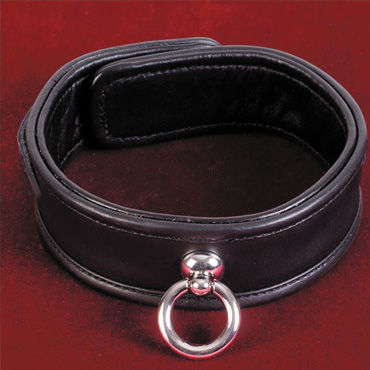 Toyfa-leather ошейник — фото 1
