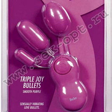 Toy Joy набор, Из 3-х виброяиц и пульта управления