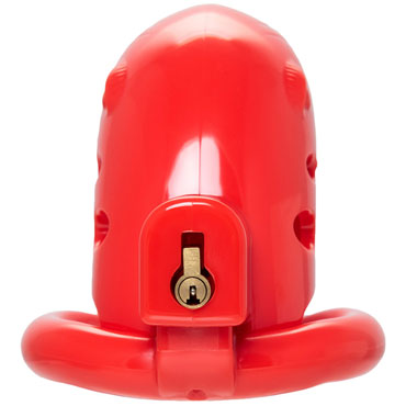 Новинка раздела Секс игрушки - Toyfa Black&Red Chastity Cage, красный