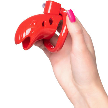 Toyfa Black&Red Chastity Cage, красный - подробные фото в секс шопе Condom-Shop