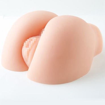 Xise Joshua Red Plum