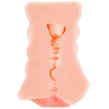 Новинка раздела Секс игрушки - Мастурбатор Juicy Pussy by TOYFA Wet Kat