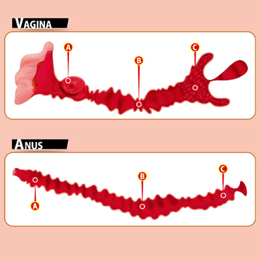 Kokos Adel - фото 11