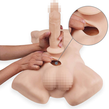 Новинка раздела Секс игрушки - Торс со съемным фаллоимитатором Apollo L