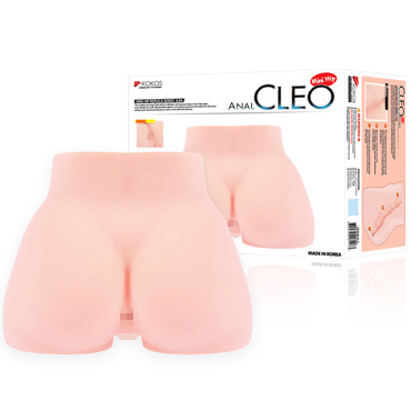 Жұмыс үстеліне арналған порно модельдер