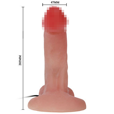 Baile ротатор - фото, отзывы