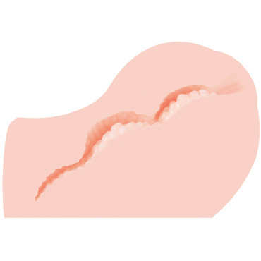 Kokos Angel - Мастурбатор вагина, полу торс - купить в секс шопе