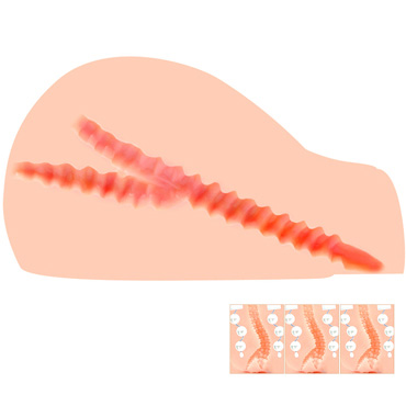 Kokos Juliana Hip - Мастурбатор с вибрацией и ротацией, вагина и анус - купить в секс шопе