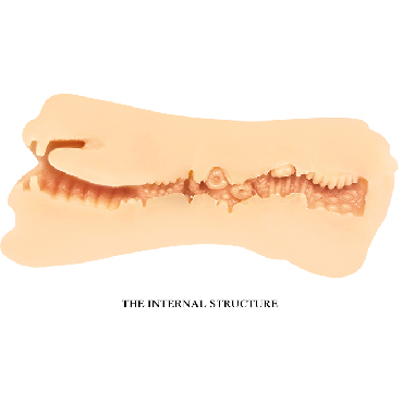 Baile Crazy Bull Gemini, телесный, Двухсторонний мастурбатор вагина и ротик и другие товары Baile с фото