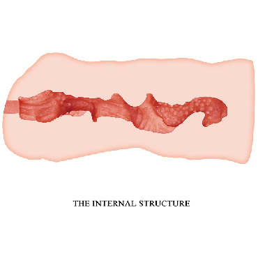 Baile Crazy Bull Linda, телесный - Компактный мастурбатор-вагина - купить в секс шопе
