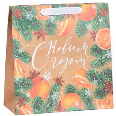 Пакет подарочный "С новым годом", квадратный