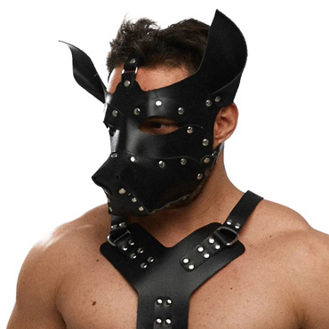 Точка Любви Маска Собака - фото, отзывы