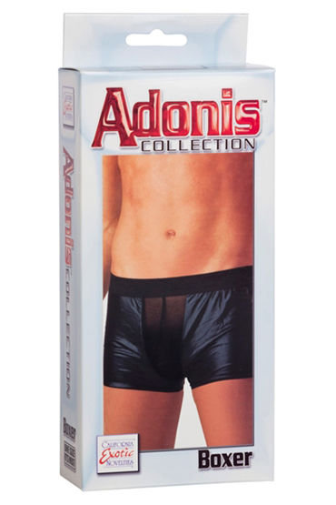 California Exotic Adonis Mens Wet Look Boxer — фото 1