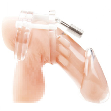 BlueLine Acrylic See-Thru Chastity Cage, прозрачная - Акриловая клетка целомудрия для члена с замком - купить в секс шопе