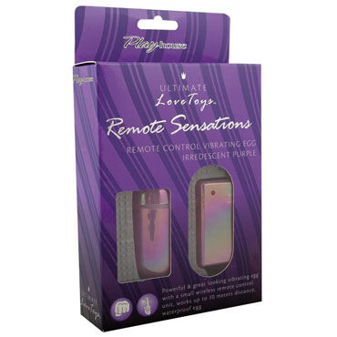 PlayHouse Remote Sensations, фиолетовый - Виброяйцо с беспроводным пультом управления - купить в секс шопе