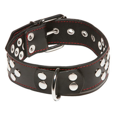 X-play Collar With D-Ring - фото, отзывы