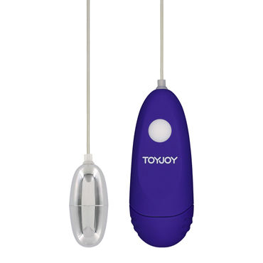 Toy Joy Funky Splash, фиолетовое, Виброяйцо с выносным пультом управления