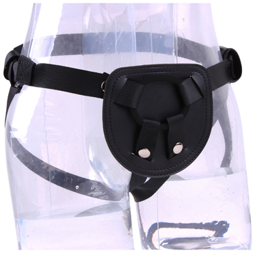 Chisa RGB The Basic Harness, черные — фото 2