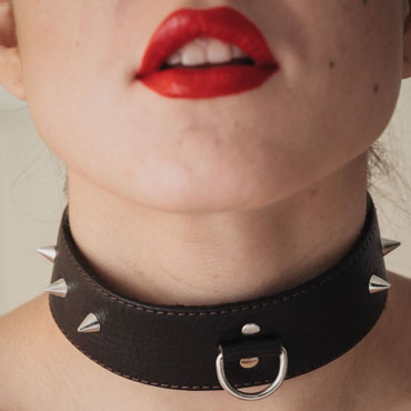 BDSM Арсенал Ошейник с маленькими шипами, коричневый — фото 2