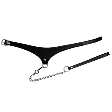BDSM Арсенал Black Phoenix ошейник с поводком - фото, отзывы