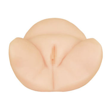 Baile Вагина-полуторс полной женщины, С вибрацией (2 виброяйца)