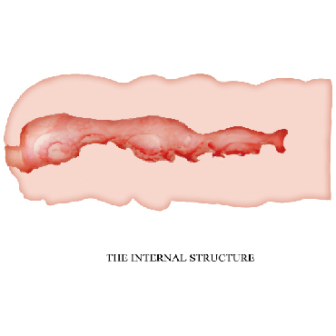 Baile Crazy Bull Isabel, телесный - фото, отзывы