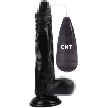 CNT 8.5'' Vibrating Beginner Dildo, черный — фото 1