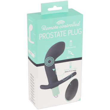 You2Toys Prostate Plug, фиолетовый - подробные фото в секс шопе Condom-Shop
