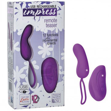 California Exotic Impress Remote Teaser — фото 1