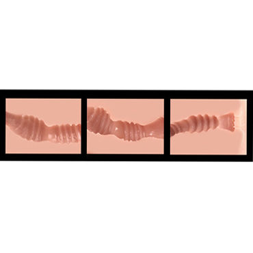 Spider Backside - фото, отзывы