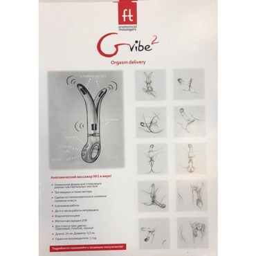 Промо Листовка Gvibe 2 Orgasm Delivery — фото 1