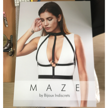 Промо Постер Bijoux Indiscrets MAZE — фото 1